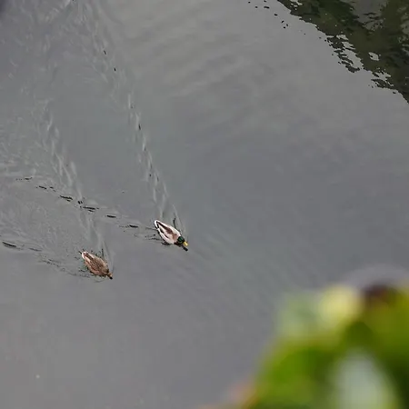 With Canal View Apartament *