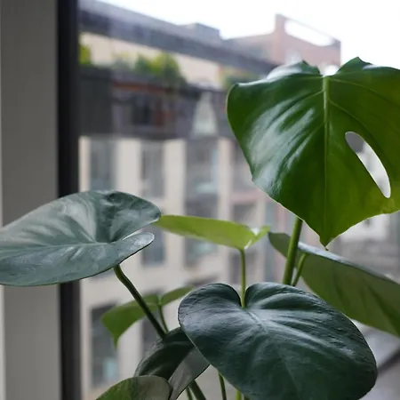 Apartament With Canal View Kopenhaga