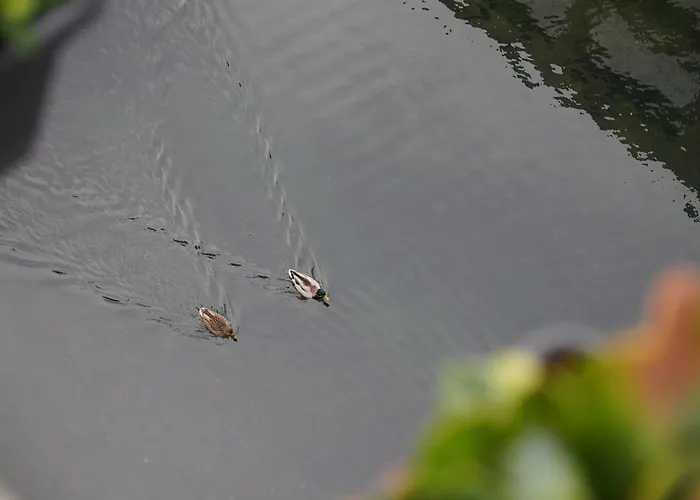 With Canal View 아파트 *