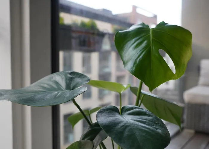 Apartament With Canal View Kopenhaga